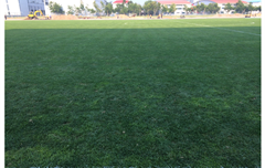 秦皇岛国家足球训练基地