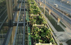 上海虹桥商务大厦立体绿化