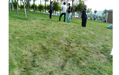 太原灵石森林公园