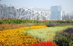 国家体育中心外绿地